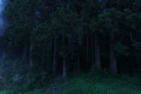https://images.plurk.com/7xYSchvv5CGzdbYq85zK6U.jpg