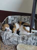 https://images.plurk.com/7xe4SRbMbnfkArHUwXwR0J.jpg