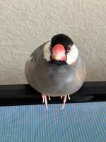 https://images.plurk.com/7xj0LWUOkFgInJ2VE7sI4O.jpg