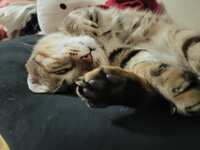 https://images.plurk.com/7xnf8PQvBk1zLWXR9rWrUY.jpg