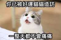 https://images.plurk.com/7y9ZX8E5ELrSaqrvTK4hPW.jpg
