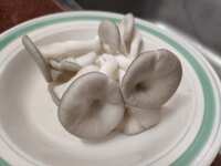 https://images.plurk.com/7yHmPUvglA8oBsat5Zj3T0.jpg