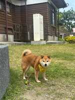 https://images.plurk.com/7yPDz5xUdIWfWg4OD9WGBa.jpg