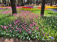 https://images.plurk.com/7yTFlPUw4SqsTzwNk8R5jh.jpg