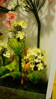 https://images.plurk.com/7yZFi4VNHGpeI2FigB1JLV.jpg