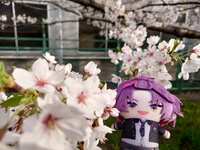 https://images.plurk.com/7yZGvWdHrFoAri8Lw3r8Q3.jpg