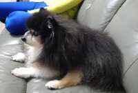 https://images.plurk.com/7yiC3Bq4QsSBIxvJXteN3J.jpg