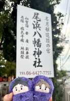 https://images.plurk.com/7ylXY5HXtGAgaCPE1SkCtA.jpg