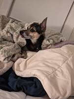 https://images.plurk.com/7ym2hGkdpLiiPPyiT7qyd2.jpg