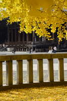 https://images.plurk.com/7yu4WOn9DHDh6ipsnp5YQD.jpg