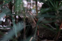 https://images.plurk.com/7z0xqeWXGpNvVQ8FOCvOYy.jpg