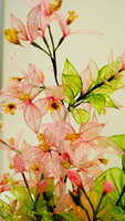 https://images.plurk.com/7z3d4RGtvAOKjLZQdjadPf.jpg