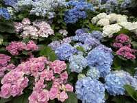 https://images.plurk.com/7zBTEjllduDlzBGSPcE58L.jpg