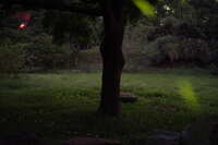 https://images.plurk.com/7zBblCCLPhJbZ5xa8tUvhx.jpg