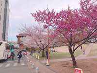 https://images.plurk.com/7zNjhkYHJjSNH7g6Vo5lH6.jpg
