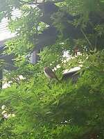 https://images.plurk.com/7zUcJigw6D519o8U3IwLJU.jpg