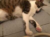 https://images.plurk.com/7zZgPZx3jsnanQqBKuKaAC.jpg