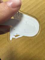 https://images.plurk.com/7zb9qcgHdJJmWc5TS7ZRat.jpg