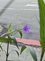 https://images.plurk.com/7zp9lRdv4cTacA97TMdkDI.jpg