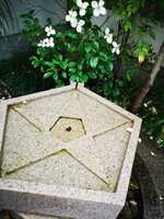 https://images.plurk.com/848HR30B4ulo7RQjU442K.jpg