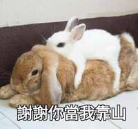 https://images.plurk.com/85FciBsbYwXKLubXlcB2O.jpg