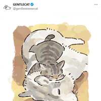 https://images.plurk.com/870I4rvDIGLhlldxWXgkf.jpg