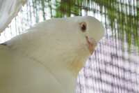 https://images.plurk.com/8M9naM5PShGWLNlwC4It3.jpg