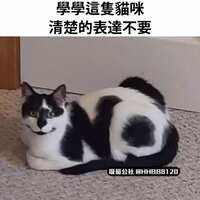 https://images.plurk.com/8PnRIDhSY6jWJQRHqv5XA.jpg