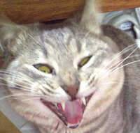 https://images.plurk.com/8Uvf20iHCrCLJTOLsLrRu.jpg