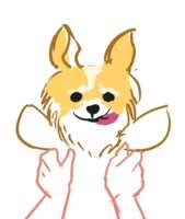 https://images.plurk.com/8tKiEL7DwfwXFEzxPf6Nb.png