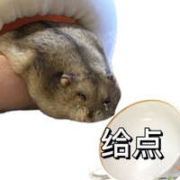 https://images.plurk.com/9BkTJyP7nopRs4OU2r0c1.jpg
