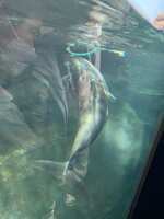 https://images.plurk.com/9FO6h1KrkKIEP9L26h00I.jpg