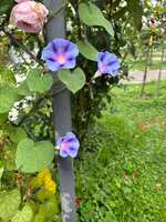 https://images.plurk.com/9I3HLiOD03qfoLOXg1oJP.jpg