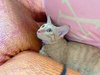https://images.plurk.com/9IEXzvCLLZRiPmWw3WLKn.jpg
