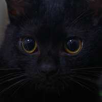 https://images.plurk.com/9KYYcFUuWkwDxcvGLBuCD.jpg