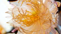 https://images.plurk.com/9Lw1d03UgXLMB48CjfK50.jpg