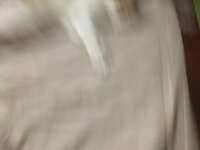 https://images.plurk.com/9axaMx1NSwB0gLNmGU6Kg.jpg