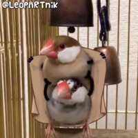 https://images.plurk.com/9qKjmaFvuHZ3x1S3ZpNny.png