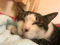 https://images.plurk.com/9s5KVwBKQQhIvrJdwJSmO.jpg