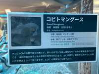 https://images.plurk.com/9u4r7wx7TBb3Y7fULvZRS.jpg