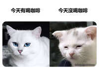 https://images.plurk.com/9vKxoljw4yqcKUrJUdHyG.jpg