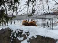 https://images.plurk.com/9yW8TByncE3im0Dugl2qx.jpg