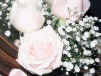 https://images.plurk.com/A30Ar6K9wFgMRCQk5LwvH.jpg