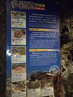 https://images.plurk.com/A5G2G8HDwQblok7HPYUDg.jpg