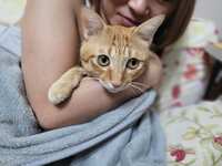 https://images.plurk.com/A73iOqWTDsQcCWXJLEXaF.jpg