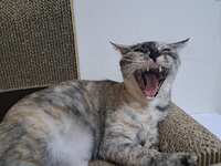https://images.plurk.com/ABSTy0HQTfycgb2I3LorV.jpg