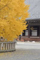 https://images.plurk.com/ALc7iw0wYvIZiFtcldhya.jpg