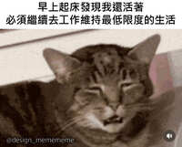 https://images.plurk.com/ALheyGlBkEX2EPSjNem8T.jpg