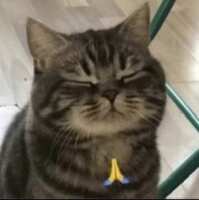https://images.plurk.com/AU1Jso0fsz9eLxYExnGXW.jpg