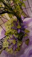 https://images.plurk.com/AWHTSoXnjPl8cpbfOIyLG.jpg